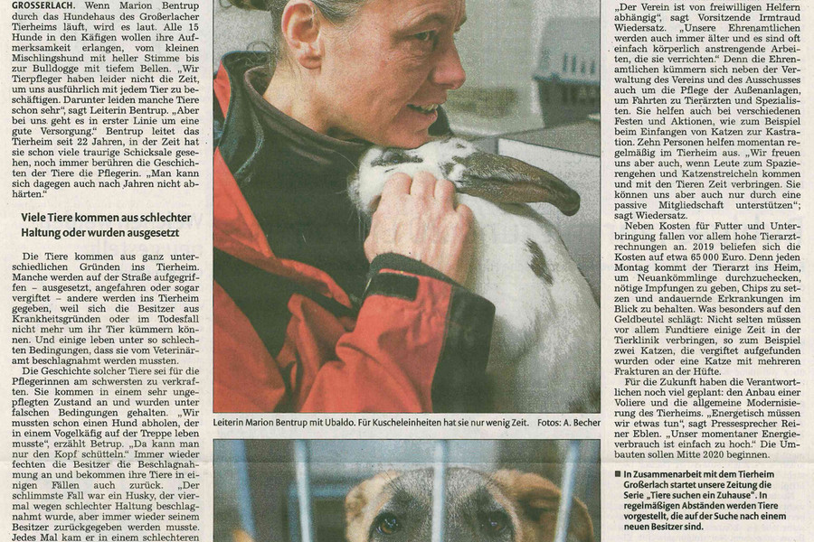 Bericht in der Backnanger Kreiszeitung über das Tierheim Großerlach