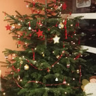 Weihnachtsbaum innen