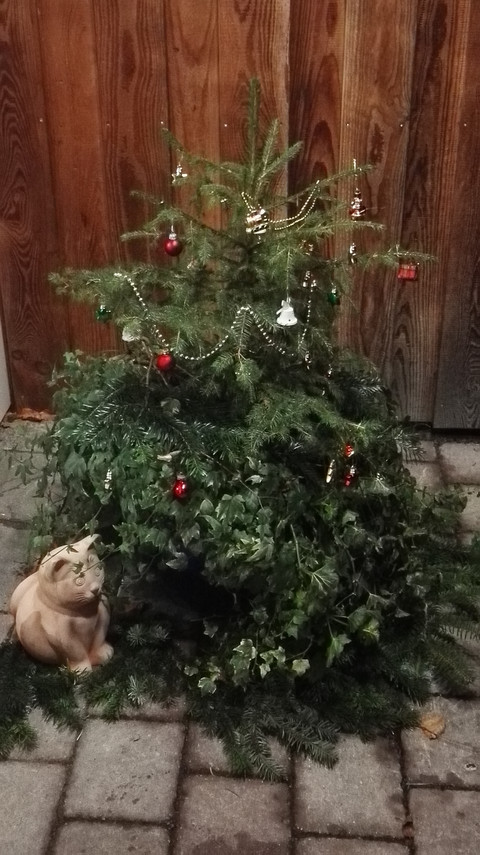 Liebevoll dekorierter Weihnachtsbaum Eingang